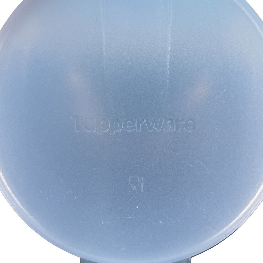 Tupperware BUNDLE Forget Me Not Hanging Cheese Onion Bagel Keeper Saver Orange - Picture 8 of 16
